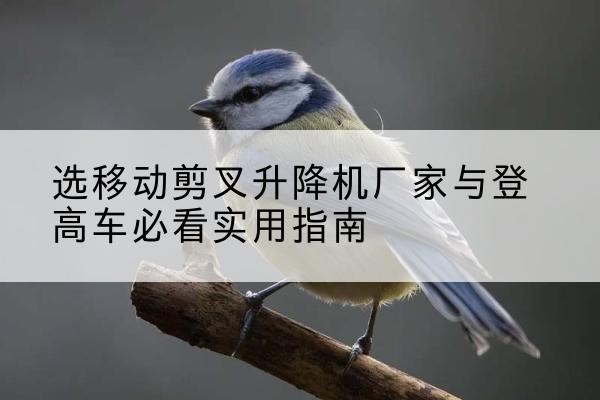 岢岚电动升降机厂家-选移动剪叉升降机厂家与登高车必看实用指南