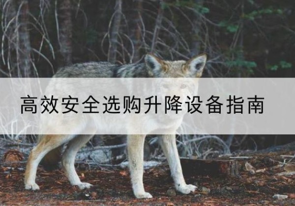 岢岚升降货梯厂家推荐-*安全选购升降设备指南